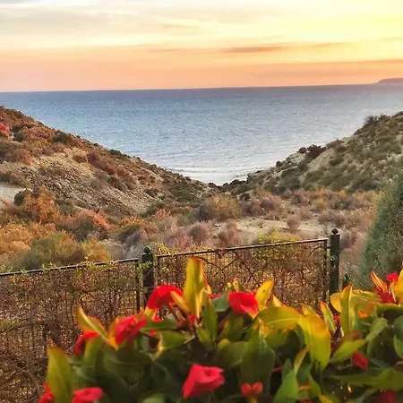 La Favorita Villa Alicante